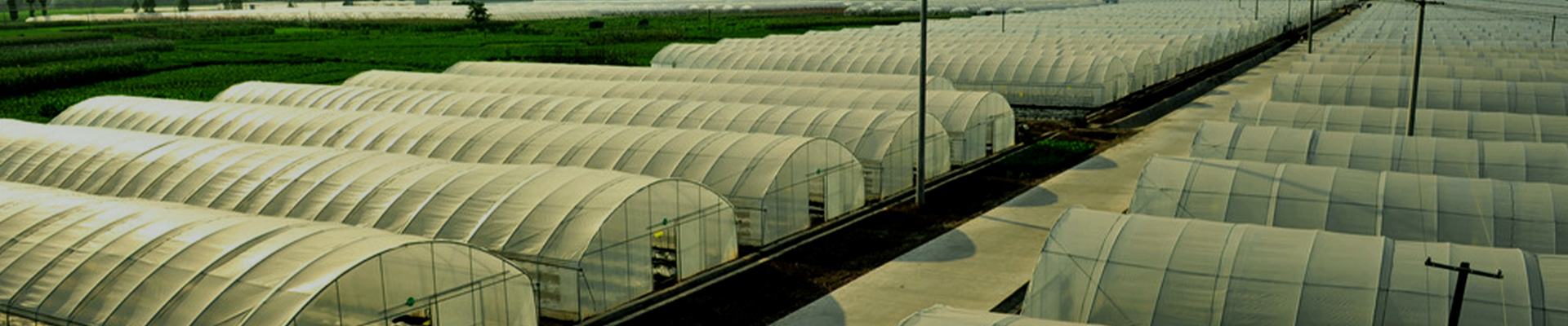 Qingzhou Luguan Plastic Co., Ltd