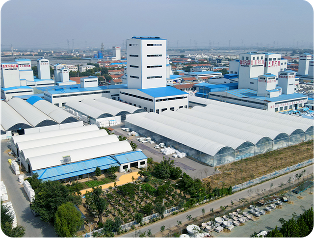 Plástico Co., Ltd de Qingzhou Luguan