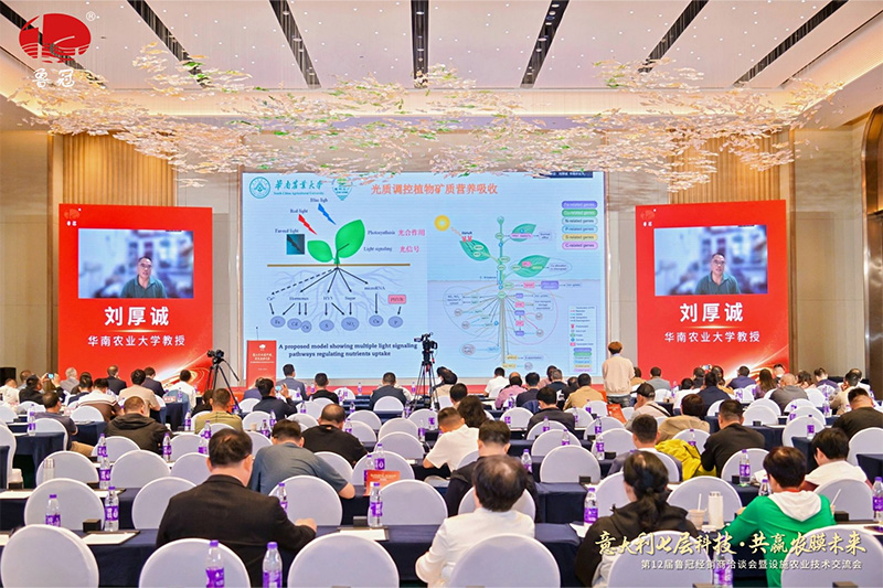 图片9.jpg
